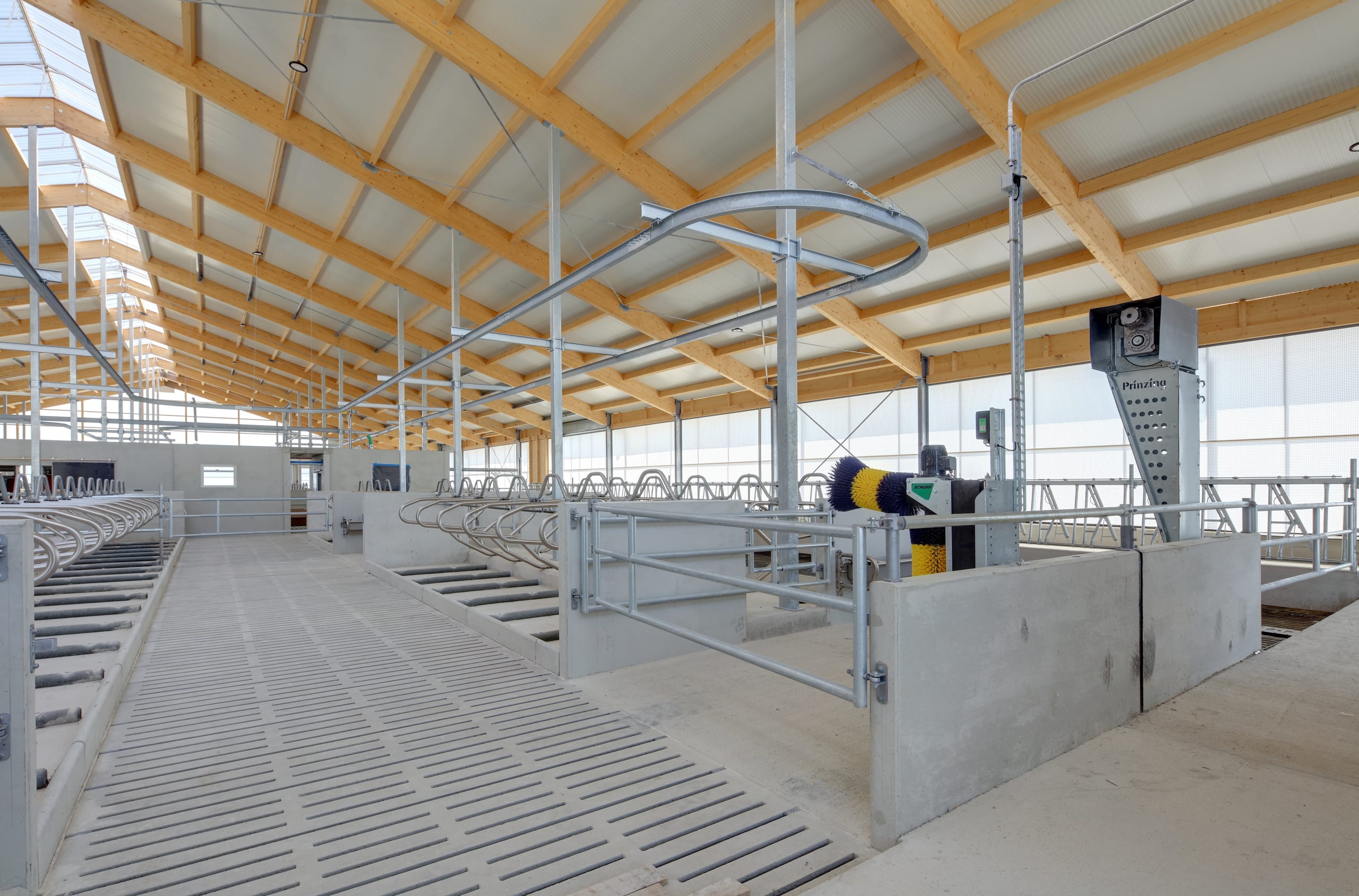 Spaltenboden, Betonwände und Melkroboter im Milchviehstall Hattenhofen – Agrarbau Härle Bau