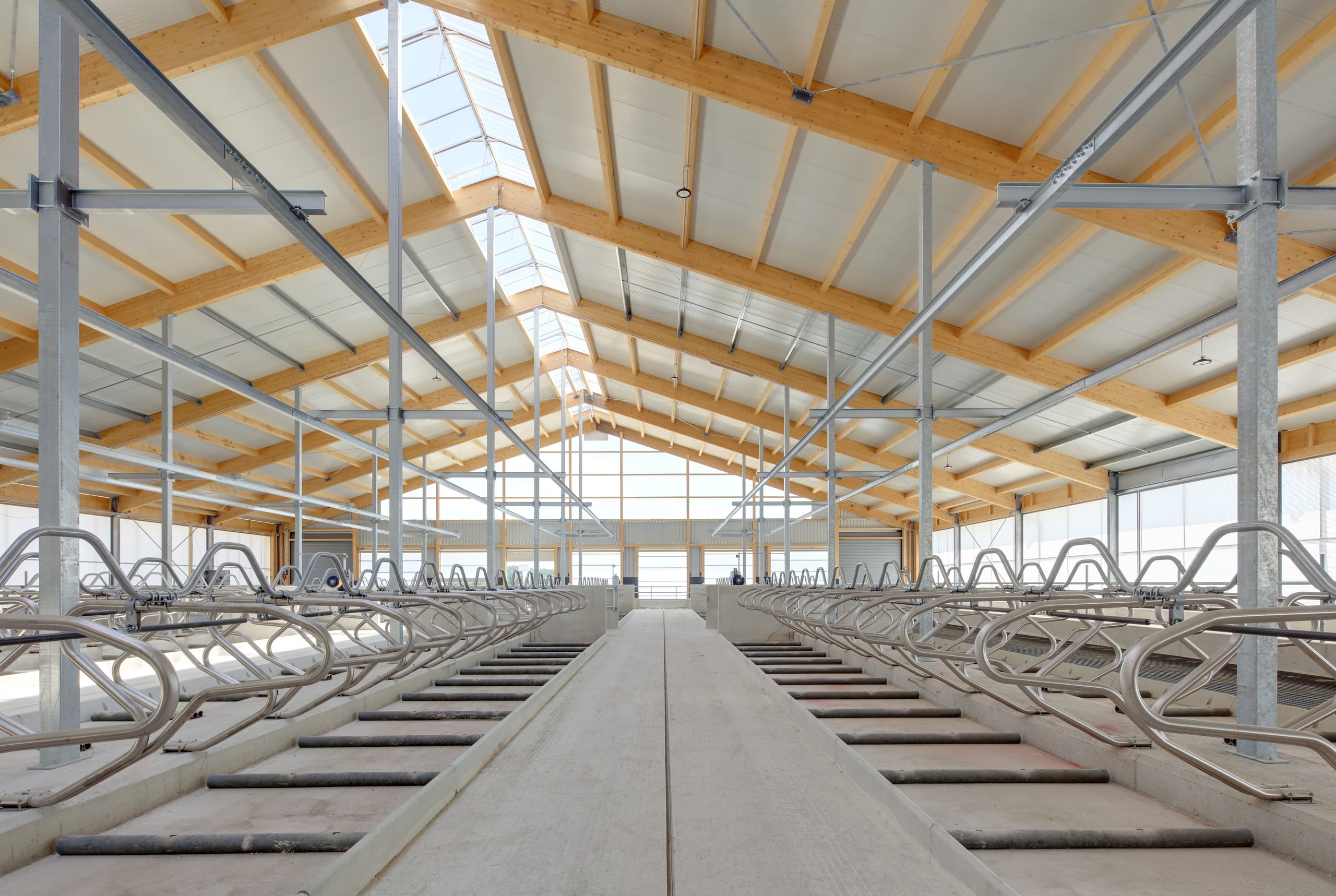Liegeboxen und Laufgang aus Beton im Milchviehstall Hattenhofen – Agrarbau Härle Bau