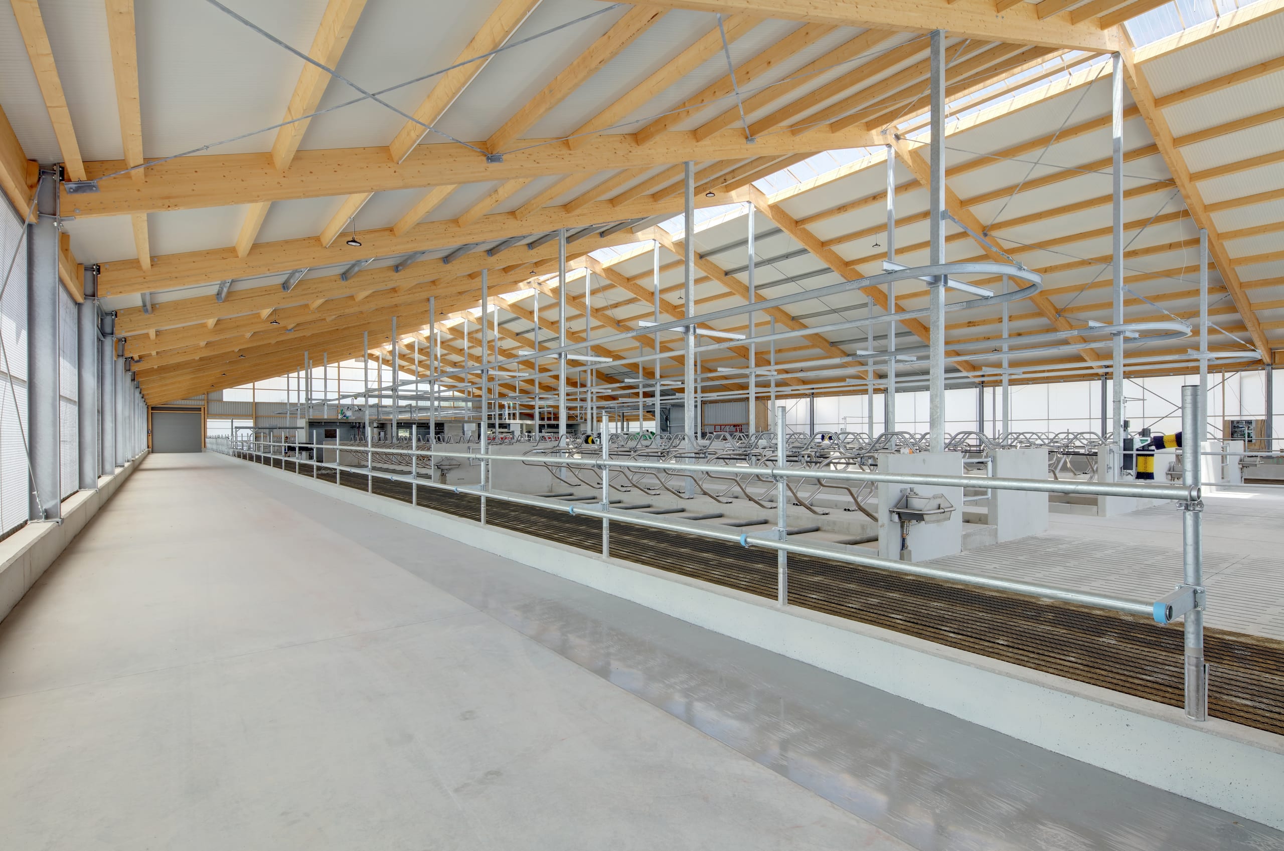 Laufgang, Futtertisch und Liegeboxen im Milchviehstall Hattenhofen – Agrarbau Härle Bau